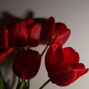 دانلود آهنگ بیا بگو میمونی پیشم همیشه با صدای زن